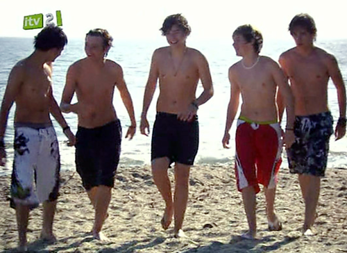 one-direction-topless